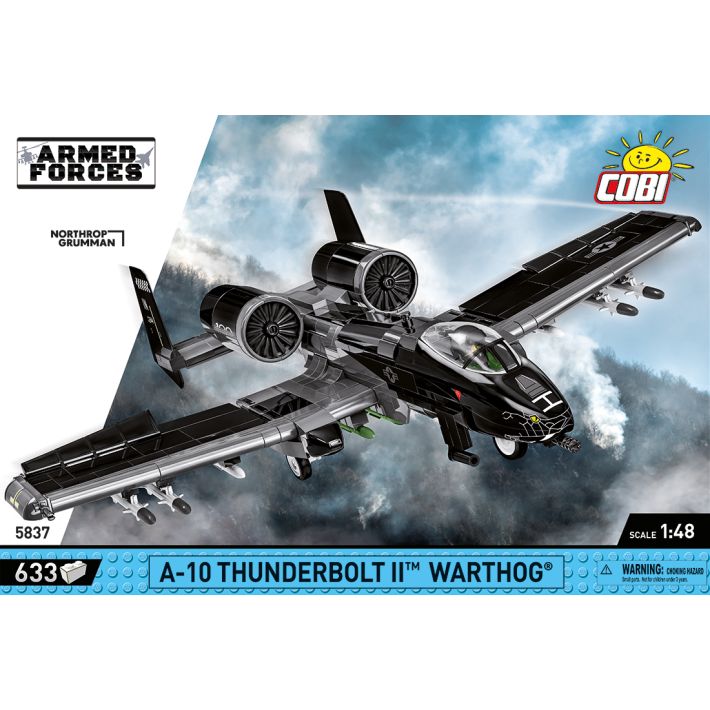 A-10 Thunderbolt II Warthog - fot. 3