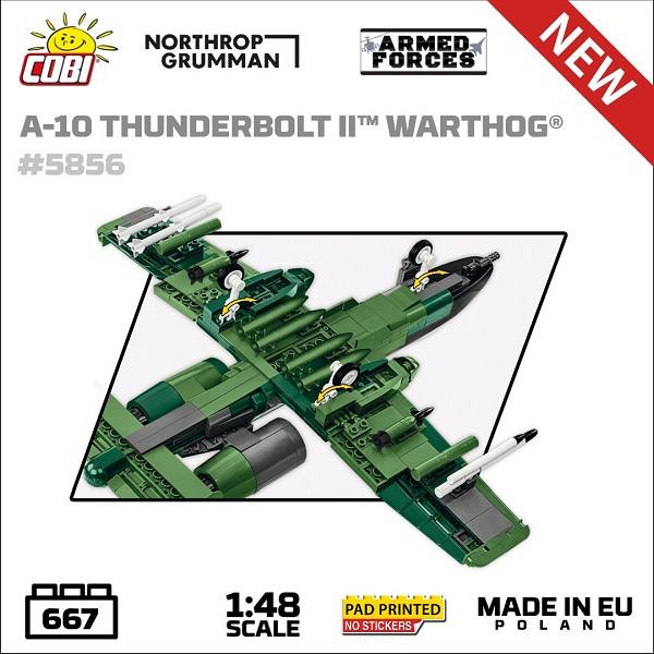 NEWSLETTER 01/2024 - zdjęcie w treści artykułu nr 19