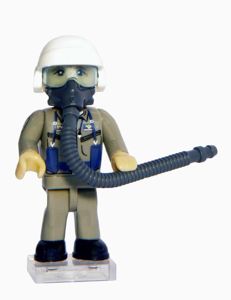 Der legendäre Pilot "Geist von Kiew" - limitierte Auflage für karitative Zwecke