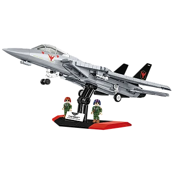 Grumman F-14 Tomcat™