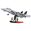 Grumman F-14 Tomcat™