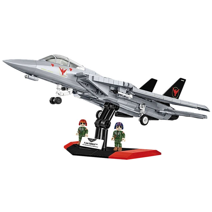 Grumman F-14 Tomcat™