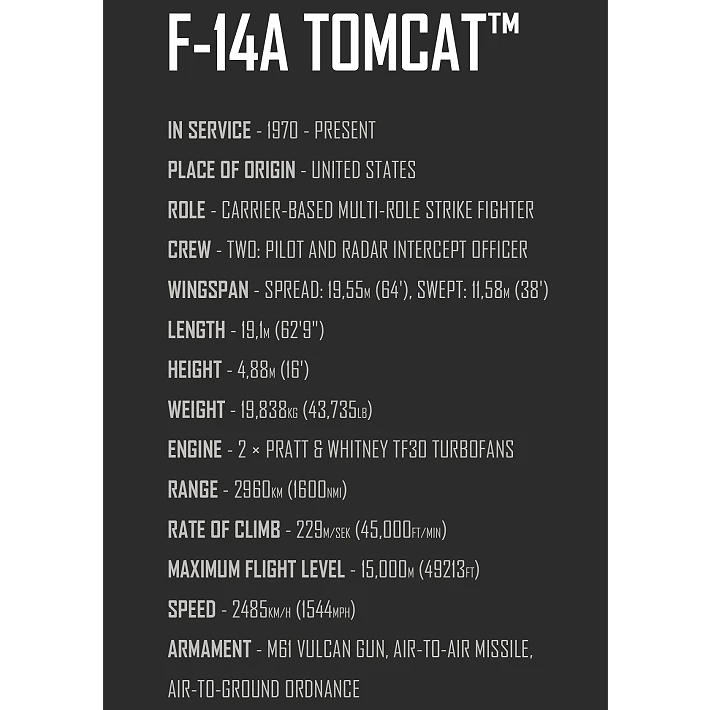 Grumman F-14 Tomcat™ - fot. 8